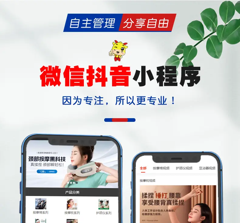 微信/抖音小程序开发