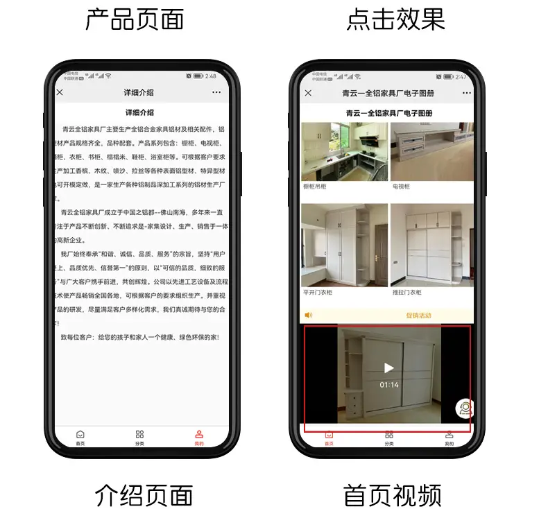 微信/抖音小程序开发